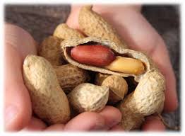 Cacahuetes Pour Bebe Les Introduire Tot Pour Reduire Les Allergies Cubes Petits Pois