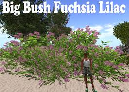 Check spelling or type a new query. Second Life Marketplace Shrub Fuschia Lilac Pack V9 Mesh 6x3 1pcm299 T K Designs