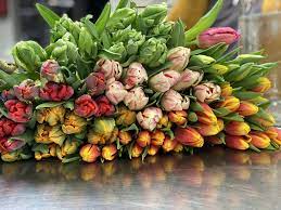 Plan to use them again and again! In Bloom Flowers Gifts Photos Facebook