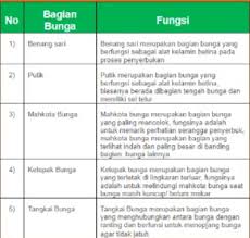 Berdasarkan permendikbud nomor 104 tahun 2014 bahwa rapor tidak hanya diisi dengan nilai, namun juga diberikan deskripsi untuk ketiga ranah yaitu deskripsi pengetahuan, deskripsi keterampilan dan deskripsi sikap. Swbqip Jrcv4cm