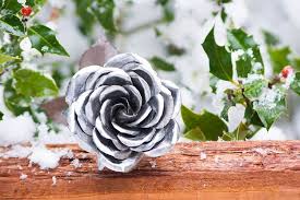 Rose In Silber Selbermachen Silberhochzeit Deko Weihnachtsgeschenke Fur Frau Silberhochzeit