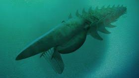 Image result for Megaloprotachne