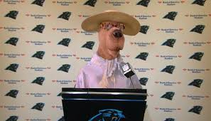 Check spelling or type a new query. Cam Newton Press Conference Nflmemes