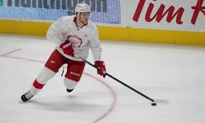 Last updated february 02, 2021. Who Made The Detroit Red Wings Roster And Taxi Squad And Who Didn T