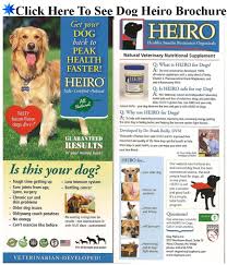Take This Is The List Of The Best Dry Dog Foods To The Store You Best Dry Dog Food Dry Dog Food High Protein Dog Food