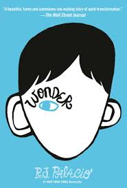 Year Of Wonders By Geraldine Brooks | Lisa'S Study Guides