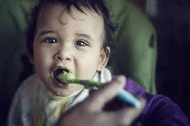 L Alimentation De Bebe Quand Introduire Les Aliments Solides Marie Fortier