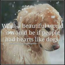 Oh My Gosh It Would Be Such An Amazing World Dog Quotes Dogs Dog Love