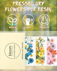 Help support my channel at: Buy Ifancer 105 Pcs Dried Flowers For Resin Small Real Pressed Dry Flowers For Resin Jewelry Assorted Tiny Mini Dried Flowers For Art Crafts Diy Online In Senegal B08nvnnv4q