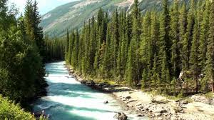 11,510 likes · 1,877 talking about this. 2012 Banff National Park Alberta Canada Youtube