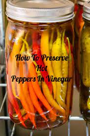 How long do canned roasted peppers last in the freezer? How To Preserve Hot Peppers In Vinegar Easy Recipe