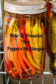 How long do canned roasted peppers last in the freezer? How To Preserve Hot Peppers In Vinegar Easy Recipe