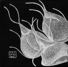 Pin On The Art Of Science