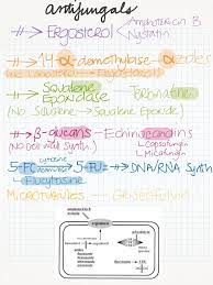 Pharmacology Mycology Nursing Antifungals Mnemonic Nursing School Pharmacology Pharmacology Nursing Pharmacology
