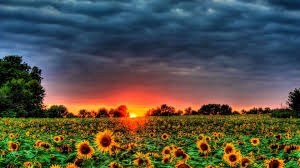 Why restrict your desktop to the realms of reality? 12 Best Free Summer Wallpapers Of 2021