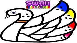 Rainbow Swan Warna Warni Belajar Menggambar Dan Mewarnai Untuk Anak