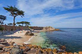 10 Best Beaches In Monterey Which Monterey Beach Is Right For You Go Guides