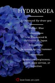 Funeral flowers and memorial flower arrangements: Funeral Flowers And Their Meanings The Ultimate Guide Flower Meanings Funeral Flowers Language Of Flowers