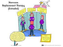 Image result for Estrogen Replacement