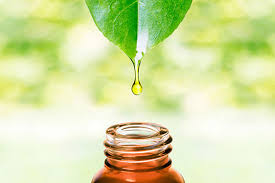 These options are safe, kind to the skin and hair and do not harm the environment. 6 Home Remedies For How To Get Rid Of Head Lice Be Beautiful India