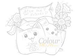 Page 12 colour it slide in a magic colouring page to start the magic colouring activity any time the unit is on. Cat Drawing For Kids With Colour