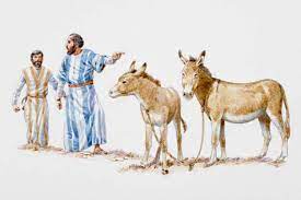 Heartstrings: The Donkey