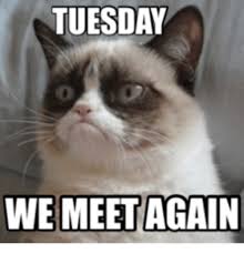 Good morning team terrific tuesday work meme meme on. Funny Tuesday Morning Memes
