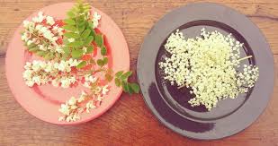 Nel viale dove abitavamo ne crescevano decine.oltre ad essere buonissimi, i fiori avevano il grande pregio di non costare nulla, e per quei tempi ( anche per i nostri tempi) e con la nonna di origine genovese. Fiori Di Acacia E Sambuco Pronti Da Friggere Picture Of Fiaschetteria Santa Sofia Tripadvisor