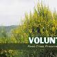 Volunteer Day: Invasive Plant Removal - Rana Creek event image