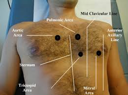 Compared to the cardiac and pulmonary exams, auscultation of the abdomen has a relatively minor role. Uc San Diego S Practical Guide To Clinical Medicine