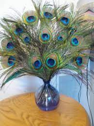 Electronics Cars Fashion Collectibles Coupons And More Ebay Feather Arrangements Feather Decor Peacock