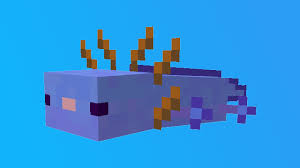 Mar 31, 2021 · learn to draw minecraft axolotl!in this video, we will learn how to draw minecraft axolotl!want to learn how to create your own drawings? Minecraft How To Breed A Blue Axolotl Gamerevolution