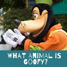 Is Goofy A Dog Goofy Goofy Dog Goofy Disney