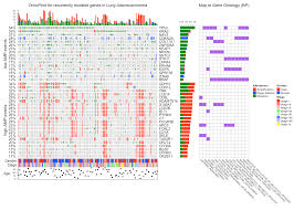 Image result for bioinformatics heatmap