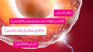 الجماع للحامل اجابات لكل التساؤلات ويب طب