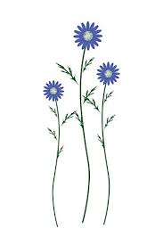 Maybe you would like to learn more about one of these? Blue Daisy Blossoms On A White Background Clipart Image