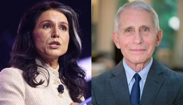 Tulsi Gabbard desclasifica documentos sobre Fauci y el laboratorio de WuhanTulsi Gabbard Desclasifica Documentos sobre Fauci, Wuhan y el Origen del COVID-19
