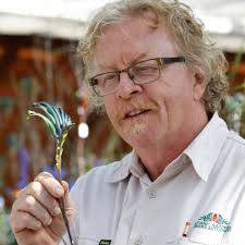 Read more about the beautiful new Blue Kangaroo Paw in development at Kings  Park https://www.facebook.com/postnewspapers/posts/5198386616844588