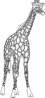 Más dibujos para pintar en mi canal: Pin En Girafa