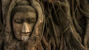 65 Zen Buddhism