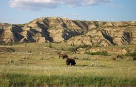 Image Result For Texas Great Plains Great Plains Plains Beautiful Images