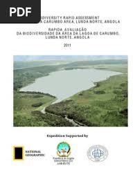 Image result for Kotschya stolonifera