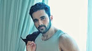 Bigg Boss 19 contestant Abhishek Bajaj calls ex-wife Akanksha Jindal 'fame digger' - Social News XYZ
