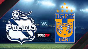 Tigres, con goles de andré pierre gignac y eduardo vargas, vence a puebla en la jornada 4 del guardianes 2020 de la liga mx. Wedknev6vpnplm