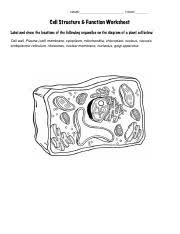 Bacteria are microscopic and tend to be rounded) * metabolism (all the cell's processes e.g. Bio 22 Lec Cell Structure And Function Worksheet Pdf Name Hour Cell Structure Function Worksheet Label And Show The Locations Of The Following Course Hero