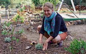Pagesbusinessesagricultureagricultural servicestadtwaldhonigvideosauch das #bienenvolk im #schaukasten nutzt den tollen. So Legt Man Auf Mallorca Einen Garten An In Dem Sich Die Bienen Wohlfuhlen Mallorca Zeitung