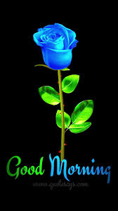 Unlike girlfriends, they don't expect a myriad of things except for unconditional love and trust from their partner. Good Morning Gif Download 2020 Free Hutomo