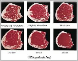 Usda Beef Grades Kozen Jasonkellyphoto Co