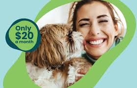 Best Veterinary Care in Idaho Falls, ID