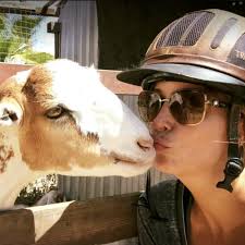 BEST of Burbank, CA Snakes